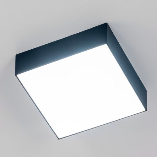 Citilux Тао CL712X122N LED Светильник потолочный с диммером Чёрный фото 19