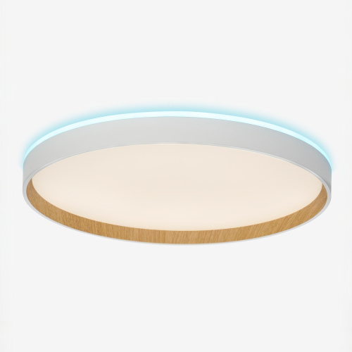 Citilux ETALON CL750400R LED RGB Светильник с пультом Белый+Бук фото 5