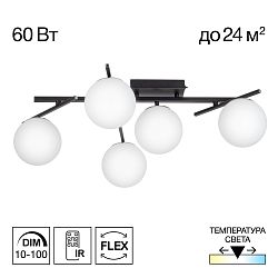 Citilux DORSY CL223152 LED Люстра поворотная Чёрная