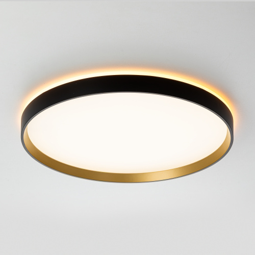 Citilux ETALON CL750401R LED RGB Светильник с пультом Чёрный+Золото фото 3