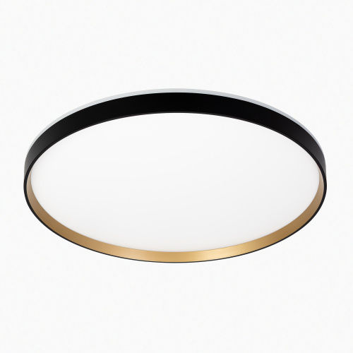 Citilux ETALON CL750501R LED RGB Светильник с пультом Чёрный+Золото фото 2