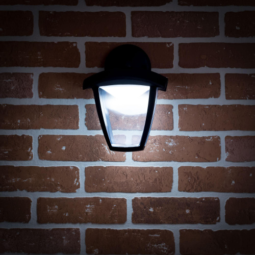 Citilux CLU04W2 LED Уличный настенный светильник Чёрный фото 8