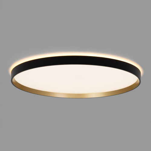 Citilux ETALON CL750501R LED RGB Светильник с пультом Чёрный+Золото фото 6
