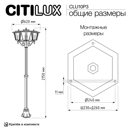 Citilux FORTS CLU10P3 Уличный парковый светильник фото 12